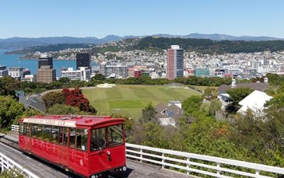 wellington_city